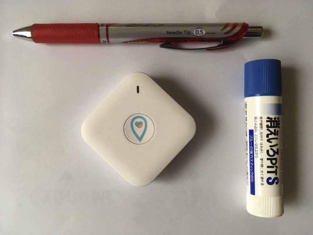 soranome size